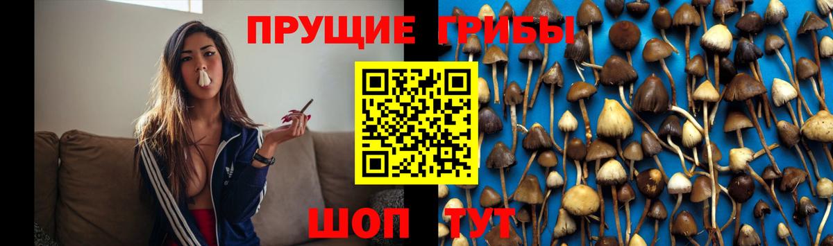 Псилоцибиновые грибы Psilocybe  Псилоцибиновые грибы Magic Shrooms  Вход с VPN  Нижний Тагил 