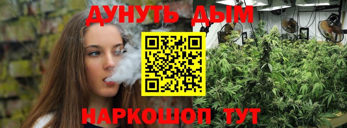 Канабис сатива Нижний Тагил